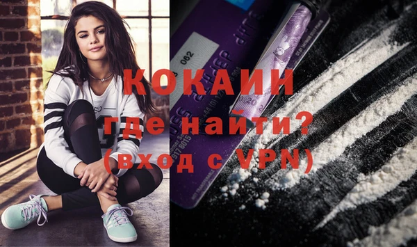 круглые Тайга