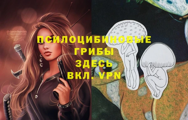 не бодяженный Вяземский