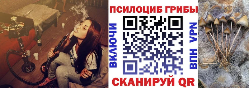 Псилоцибиновые грибы мицелий  Черепаново 