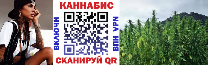 сколько стоит  Черепаново  blacksprut ONION  Бошки марихуана сатива 